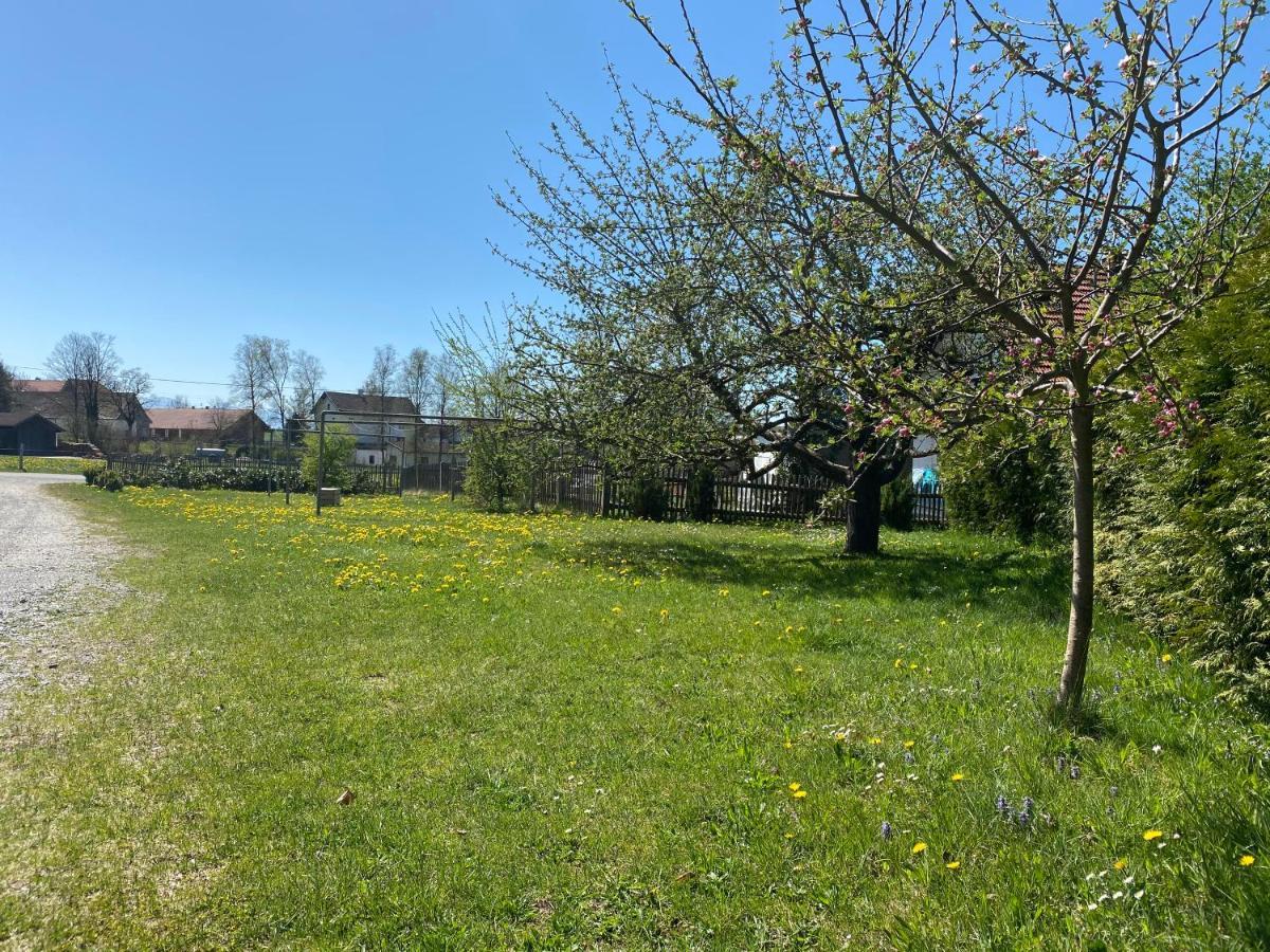 Gasthof Graf Steingaden Zewnętrze zdjęcie